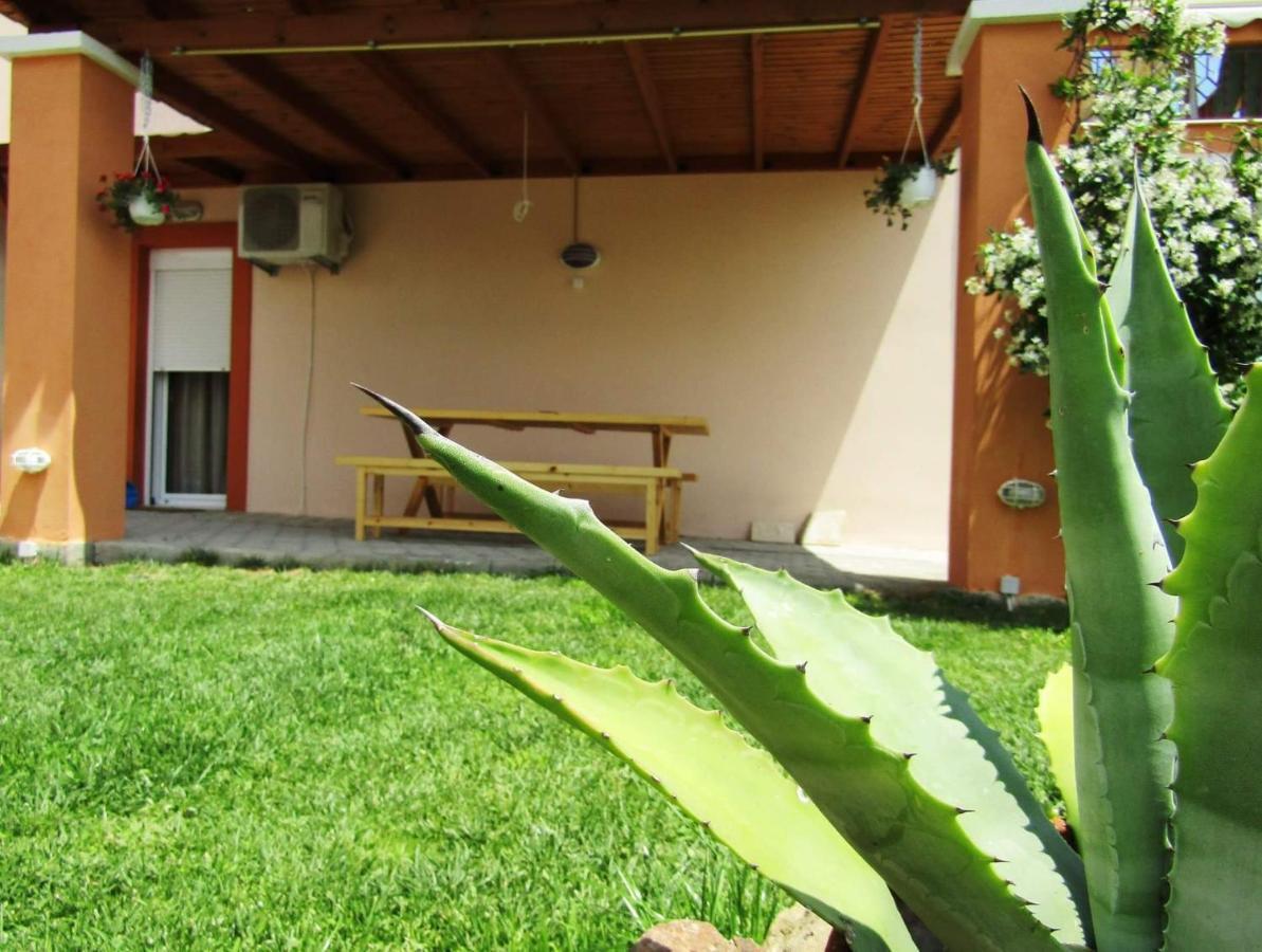 Olive Grove House Apartment Limenaria  Exterior photo